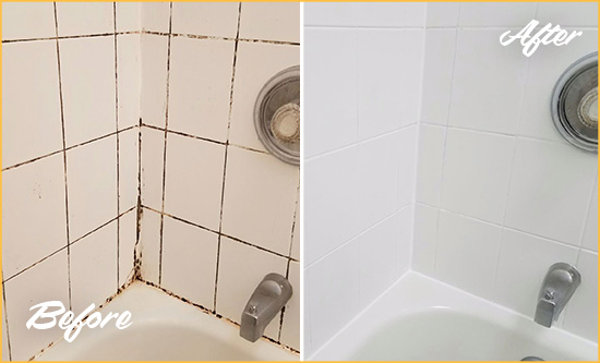 Before and After Picture of a Haskell Shower Tile and Grout Cleaned to Eliminate Mold