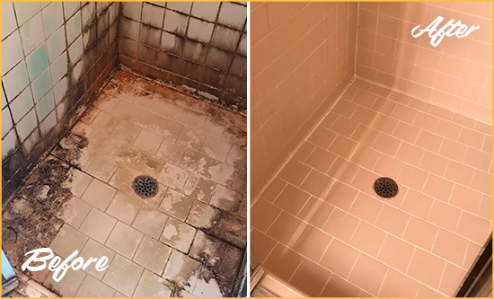 Before and After Picture of a North Arlington Shower Tile and Grout Cleaned to Repair Water Damage