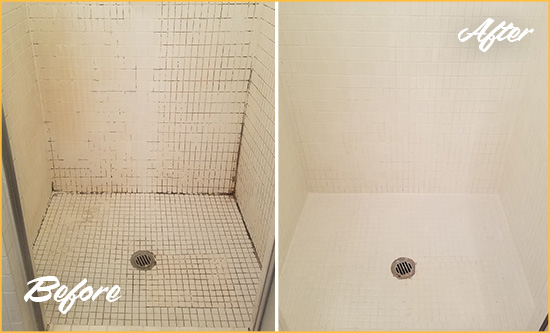 Before and After Picture of a Winfield Township Bathroom Grout Sealed to Remove Mold