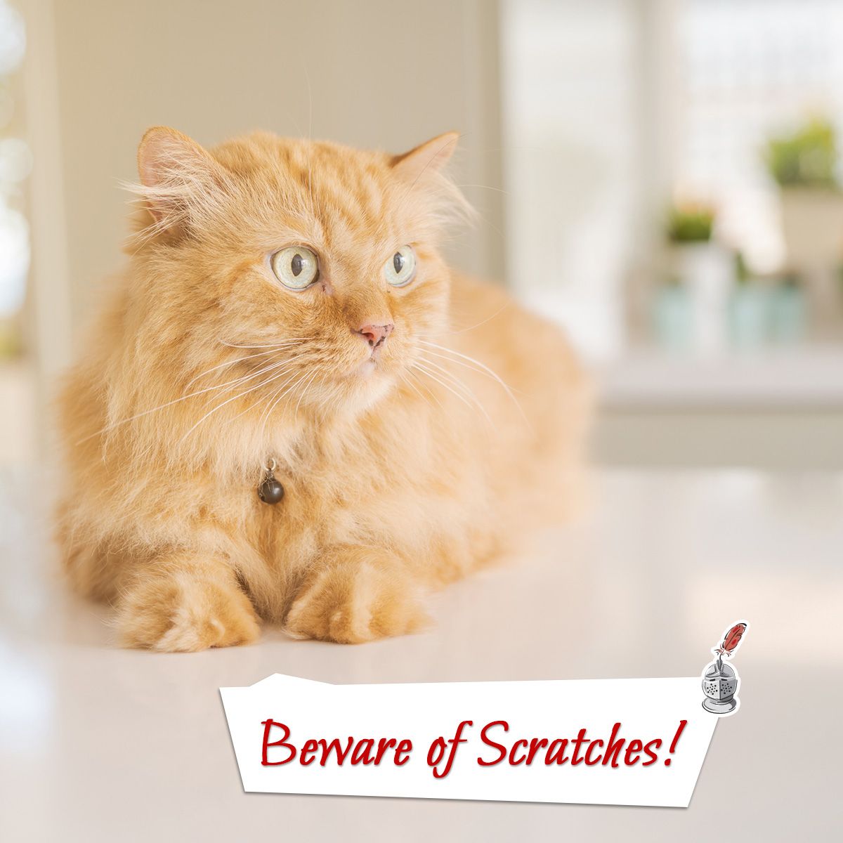 Beware of Scratches!