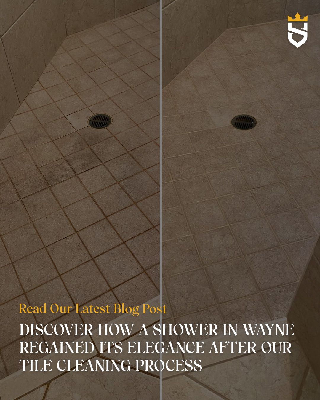 Discover How a Shower in Wayne Regained Its Elegance After Our Tile Cleaning Process