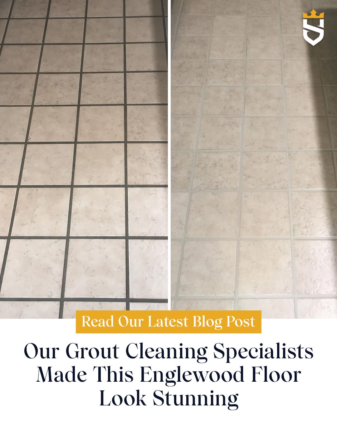 Our Grout Cleaning Specialists Made This Englewood Floor Look Stunning